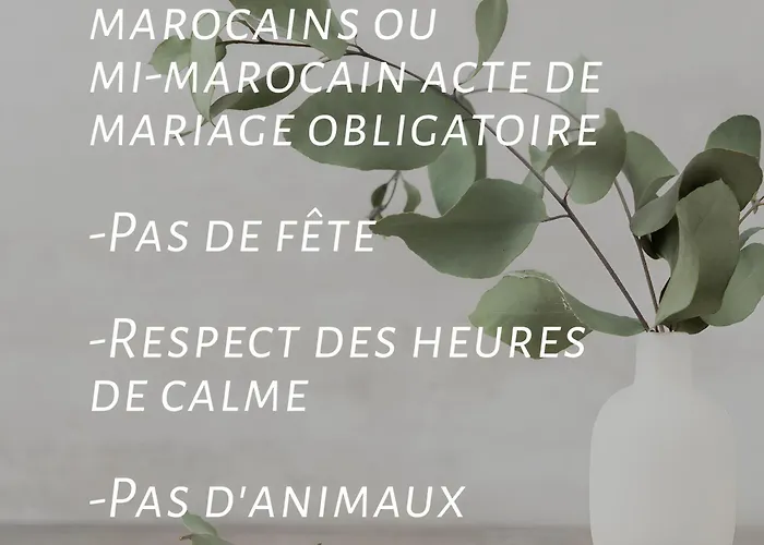 Yacout Appartement Majorelle